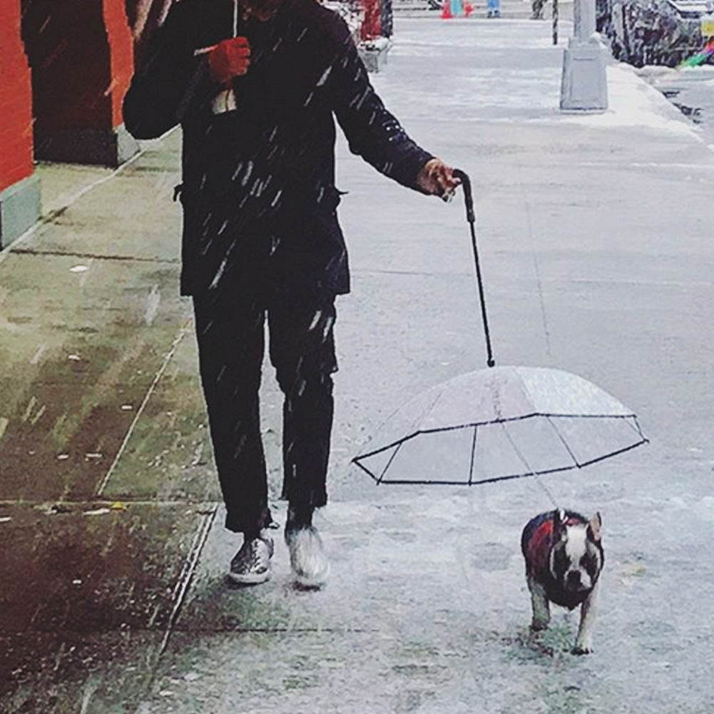 Transparent Pet Umbrella Dog Umbrella Pet Products Emporium Discounts