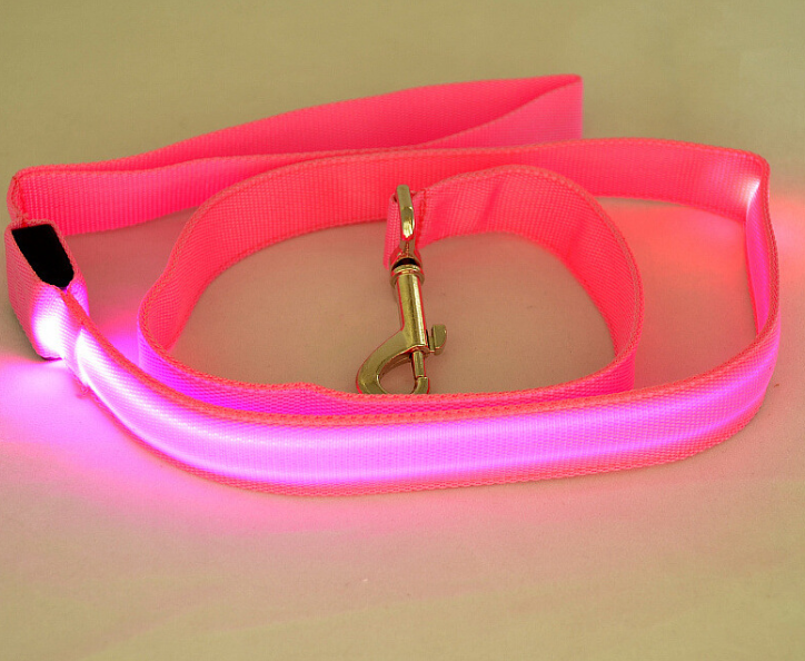 Why It's Important To Have LED Leash That Glow In the Dark For Your Dog