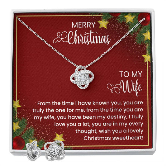 To My Wife  From the time I have known you, you are truly the one for me, from the time you are my wife, you have been my destiny, I truly love you a lot, you are in my every thought, wish you a lovely Christmas sweetheart!