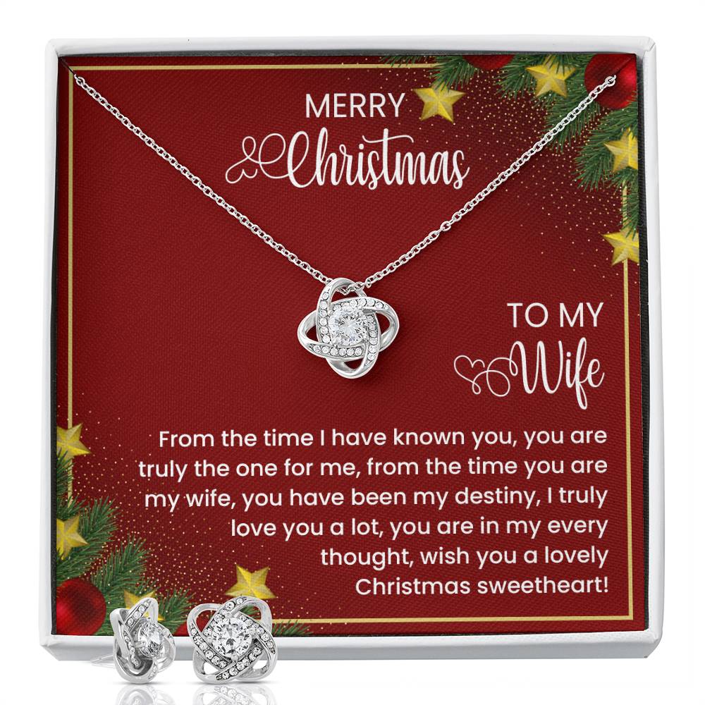 To My Wife  From the time I have known you, you are truly the one for me, from the time you are my wife, you have been my destiny, I truly love you a lot, you are in my every thought, wish you a lovely Christmas sweetheart!