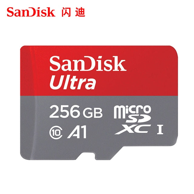 SD Memory Card