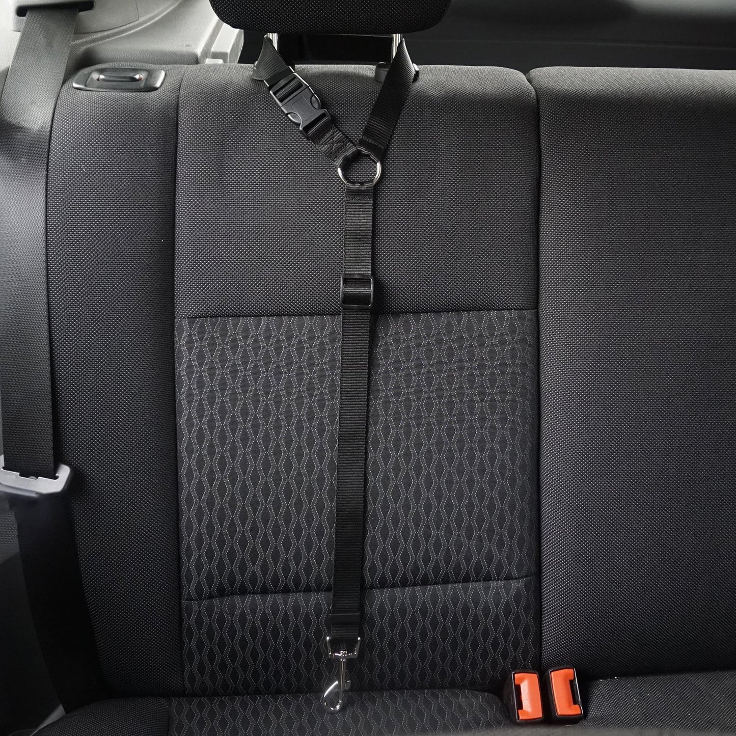 Pet safety leash Come In Different Colours Black