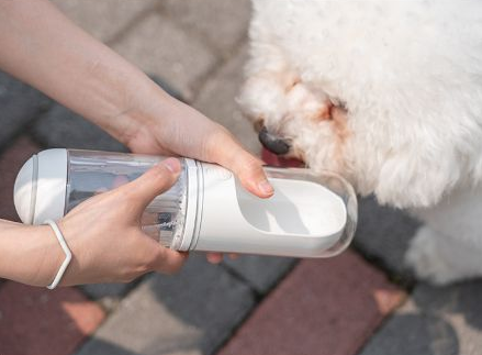 Water Bottle For Pets Emporium Discounts