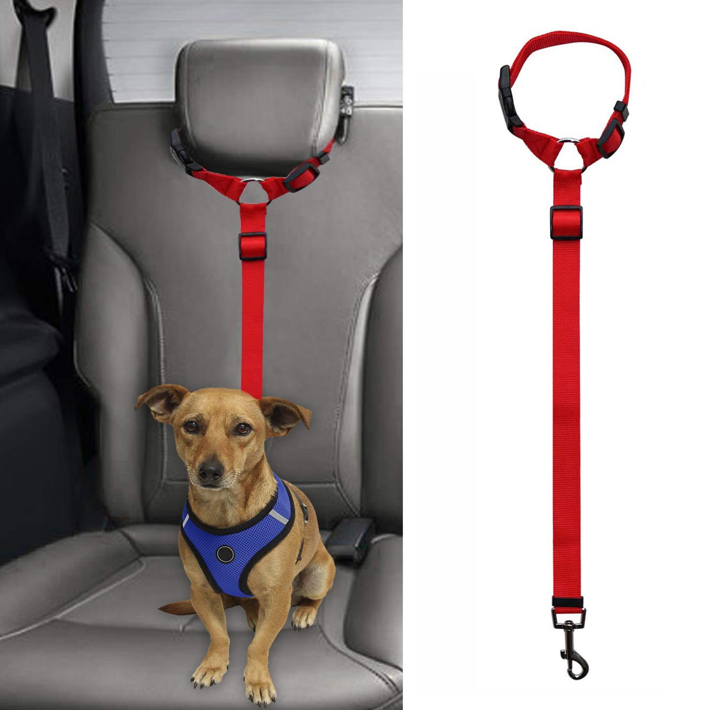 Pet safety leash Come In Different Colours