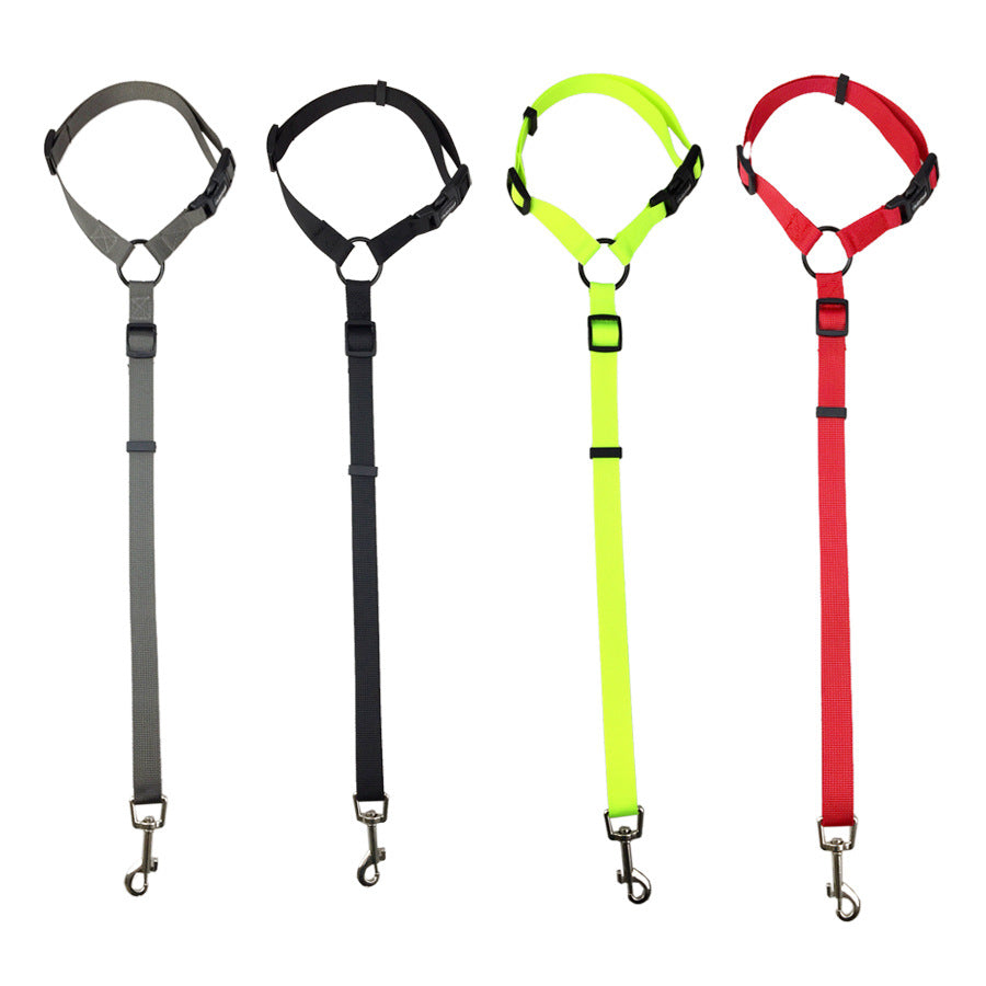 Pet safety leash Come In Different Colours
