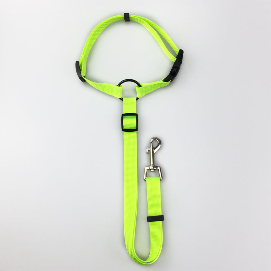 Pet safety leash Come In Different Colours Bright Yellow Green