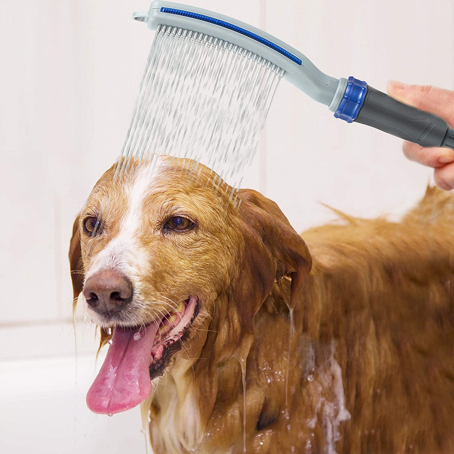 Dog Shower Sprayer Attachment Emporium Discounts