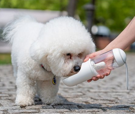 Water Bottle For Pets Emporium Discounts Dog Drinking