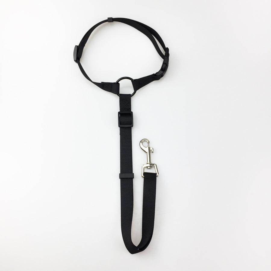 Pet safety leash Come In Different Colours Black