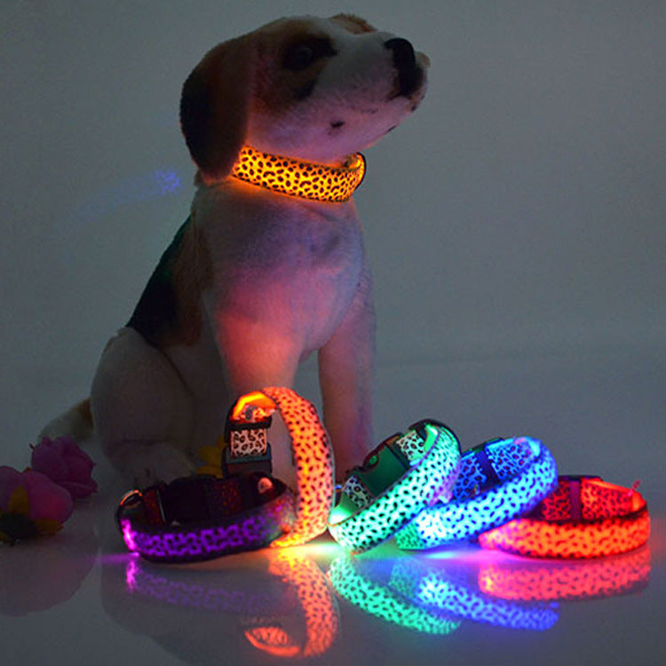 Leopard Collar Led Luminous Dog with Luminous Collar Dog Collar Dog Chain Large, Medium and Small Pet Supplies Mixed Batch Emporium Discounts 5 Daily Products Or Gadgets Per Day