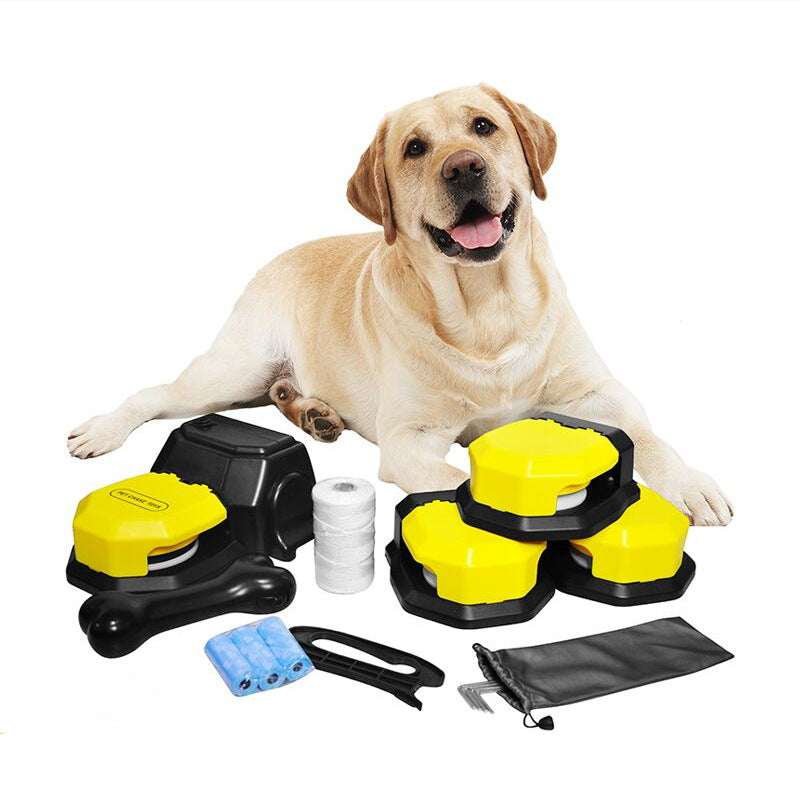 Pet Chase Toys Home Training Supplies Emporium Discounts