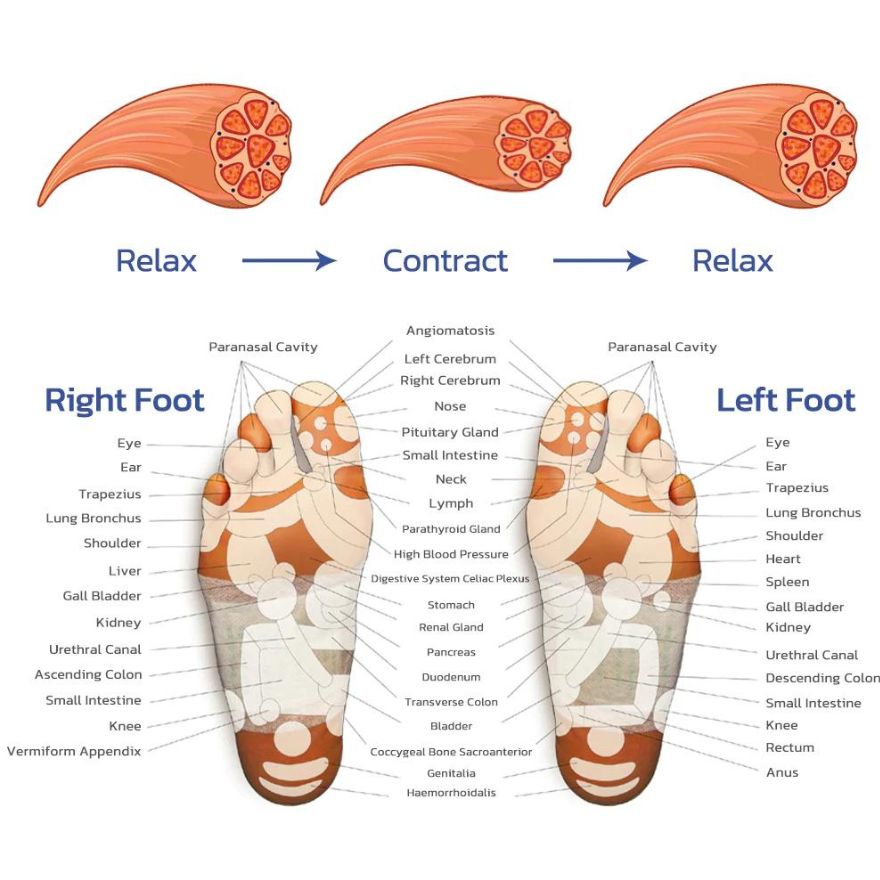 Experience the EMS Foot Massager: a modern solution for tackling cramps, swollen ankles, rigidity, and aches in your feet. This device uses electric pulses to quickly improve blood flow, diminish varicose veins, and provide your legs with a revitalizing lightness.