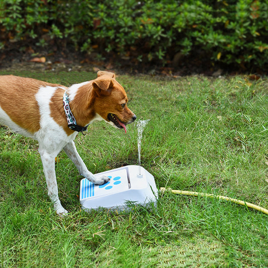 Outdoor Supplies Dog Water Feeder Intellectual Toys Emporium Discounts